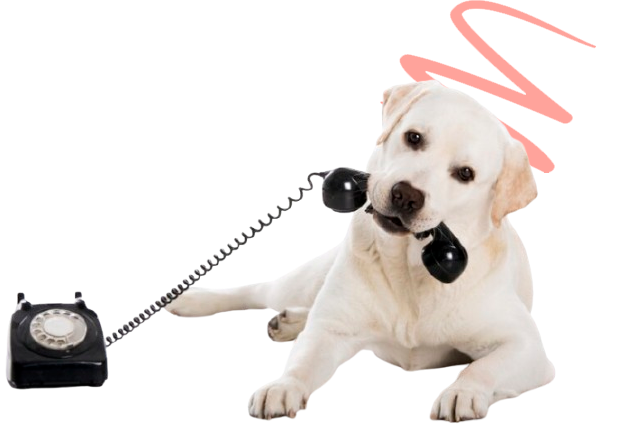 VETERAN OWNED BUSINESS