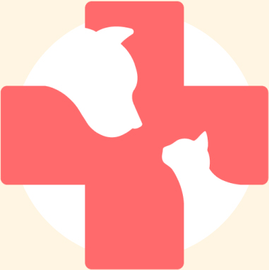 VETERAN OWNED BUSINESS